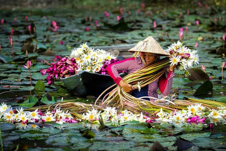 Vietnam In November: Weather, Where To Go, What To See, Itinerary And FAQ Vietnam In November: Weather, Where To Go, What To See, Itinerary And FAQ